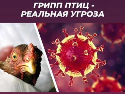 Россельхознадзор предупредил о серьезной угрозе распространения болезней животных в мире