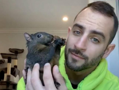 Белка Арахис: как здоровое животное стало звездой соцсетей и ушло из жизни