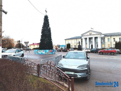 Научный Новый год: Sciencely 6+