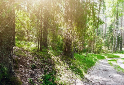 В Москве температура оказалась выше, чем в Сочи
